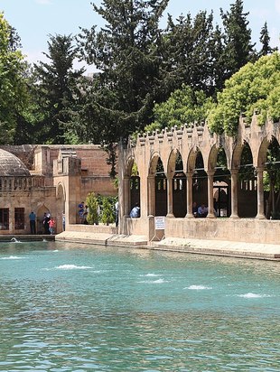 %d0%b1%d0%b0%d1%81%d1%81%d0%b5%d0%b9%d0%bd %d0%b0%d0%b2%d1%80%d0%b0%d0%b0%d0%bc%d0%b0 %d0%b2 %d1%83%d1%80%d1%84%d0%b5