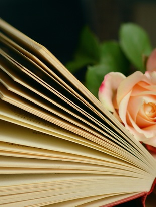 Навигация по статьям