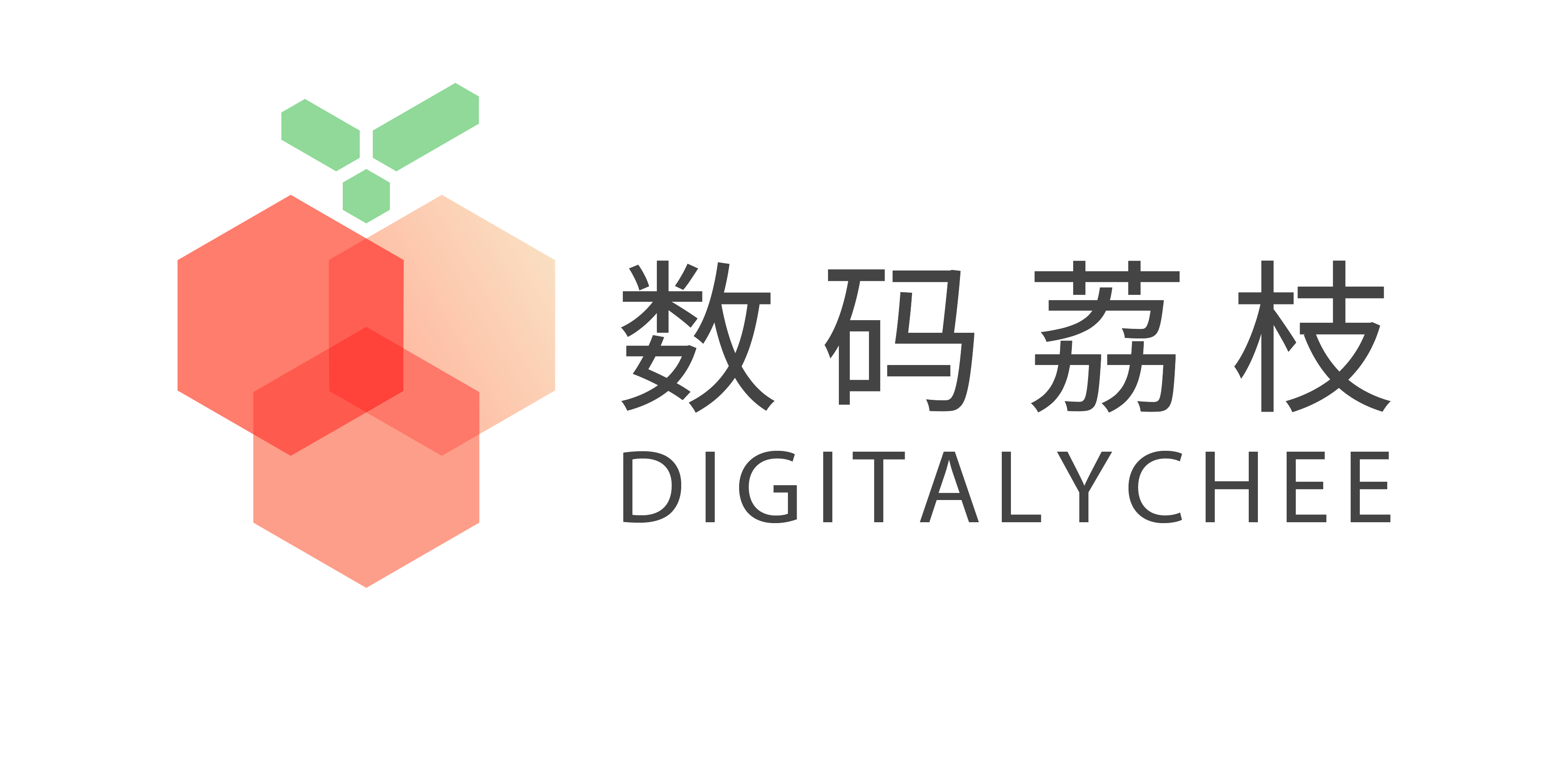 DIGITALYCHEE 数码荔枝